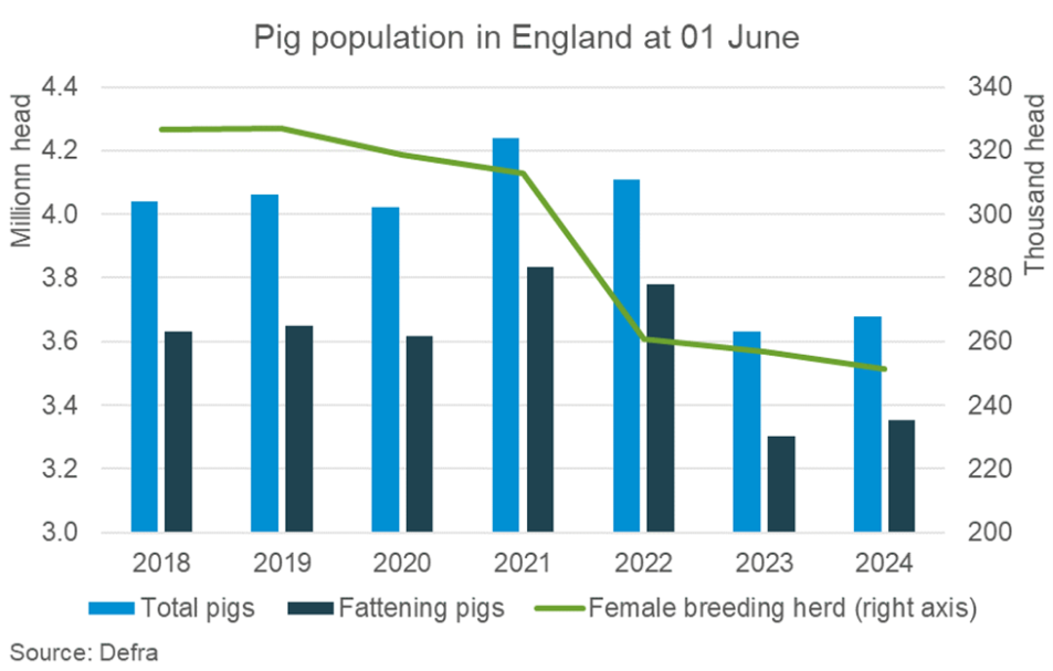 Bar chart of total pig population and fat pig numbers along a line indicating the breeding herd